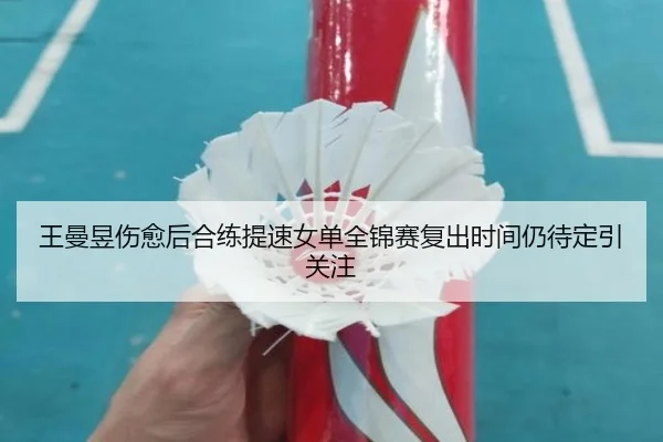 王曼昱伤愈后合练提速女单全锦赛复出时间仍待定引关注